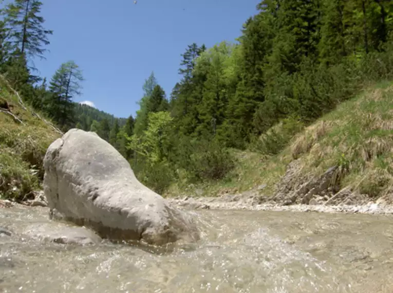 Natur intensiv im Alpenpark Karwendel