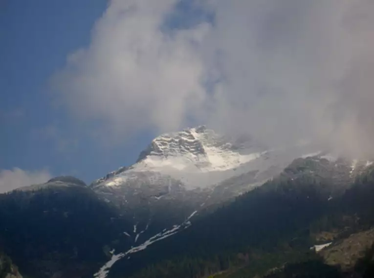 Natur intensiv im Alpenpark Karwendel