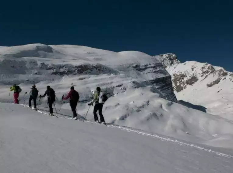 Dolomiten Skiplus