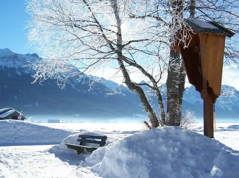 Mitteschwere Schneeschuhwoche im Allgäu