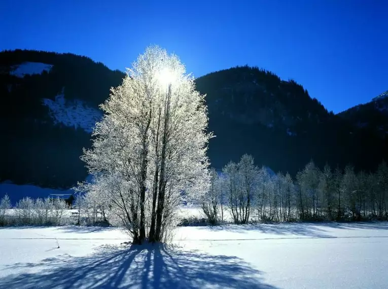 Tiroler Schneeschuhwoche am Mieminger Plateau