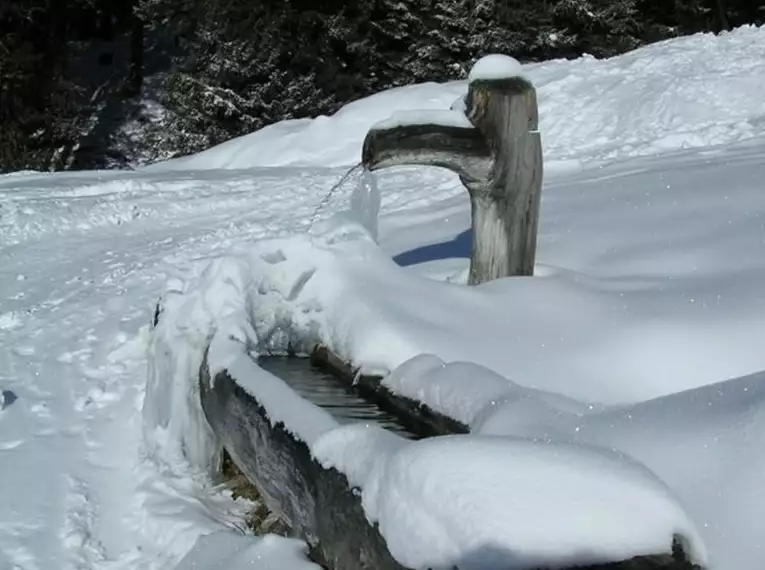 Tiroler Schneeschuhwoche am Mieminger Plateau