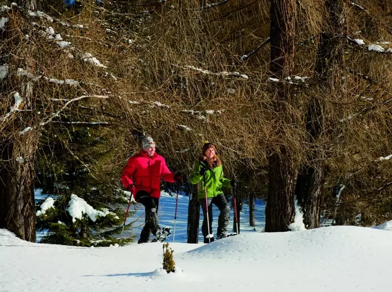 Tiroler Schneeschuhwoche am Mieminger Plateau