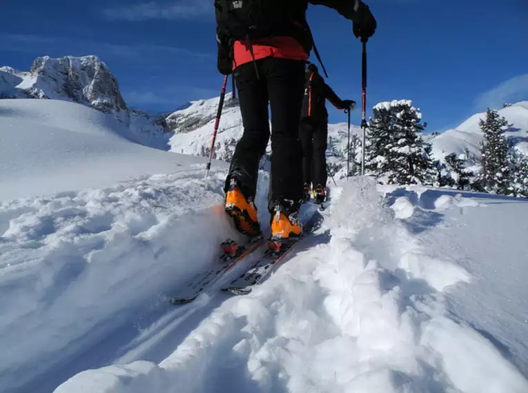 Ein-Tages-Schnupperskitour für Anfänger