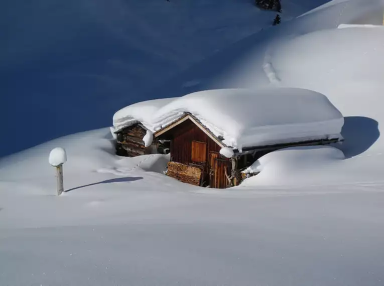 Anfänger Freeride-Kurs in den Kitzbüheler Alpen