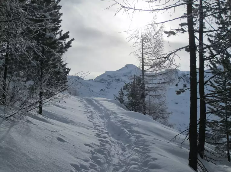 Schneeschuh-Winterzauber in Saas Fee