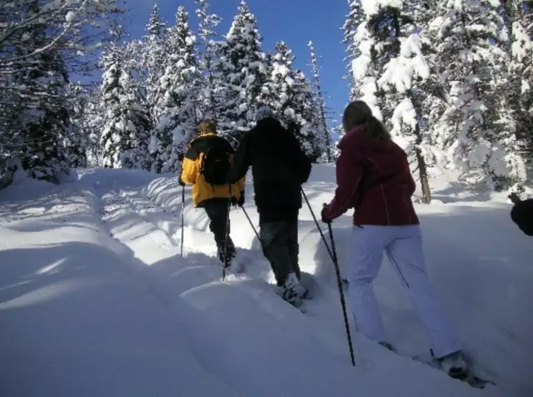 Schneeschuh-Winterzauber in Saas Fee