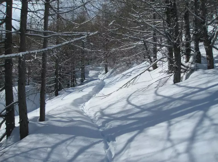 Schneeschuh-Winterzauber in Saas Fee