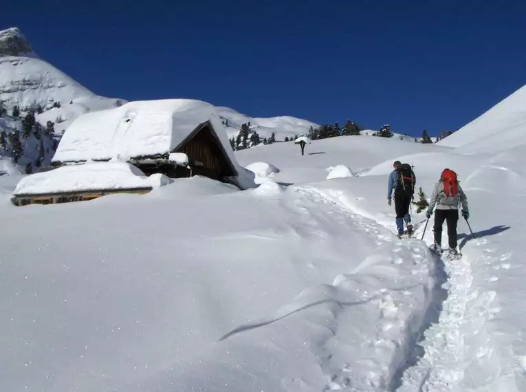 Schneeschuhtour mit Rodelspaß im Stubaital