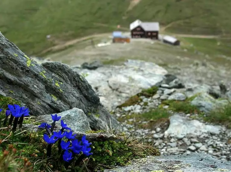 Großglockner & Hohe Tauern