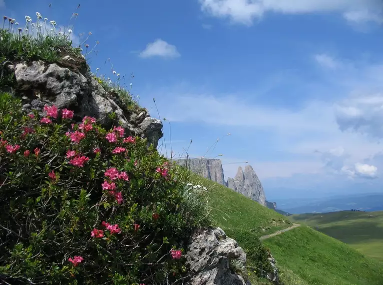 Wanderwoche im Grödnertal