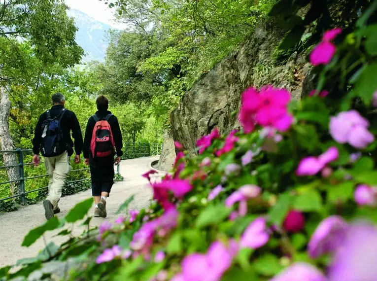 Meran gemütlich erwandern