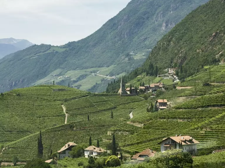 Meran gemütlich erwandern