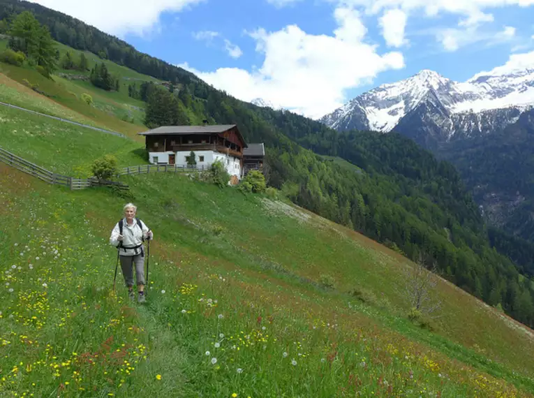 Wanderwoche Ahrntal