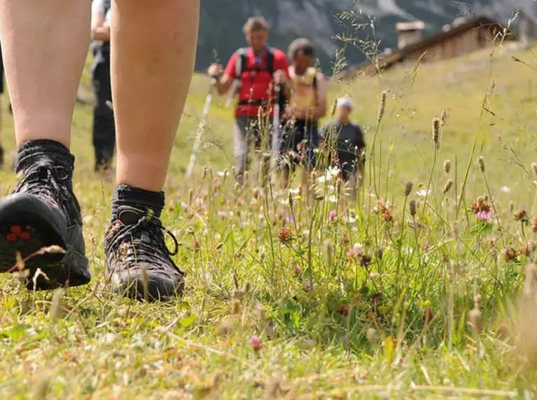 Wanderwoche Ahrntal