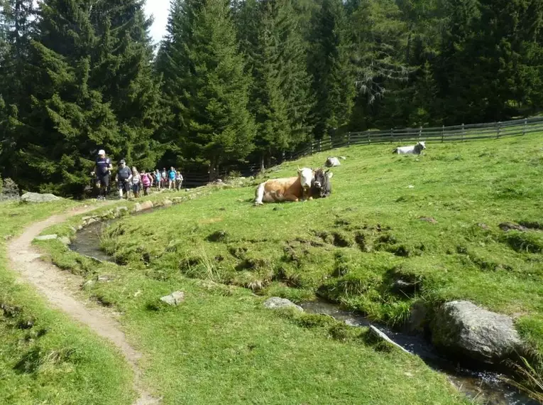 Der Meraner Höhenweg mit Gepäcktransport