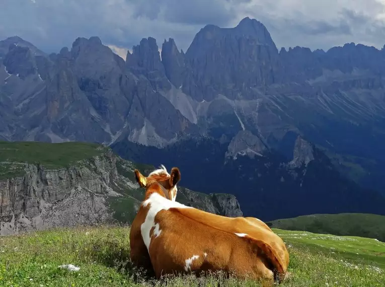 Wanderwoche Rosengarten