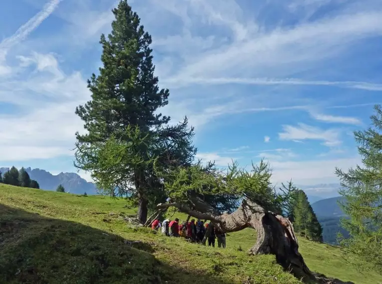 Wanderwoche Rosengarten