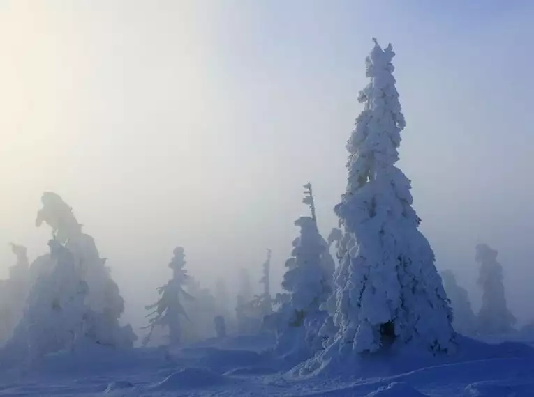 Silvester auf Schneeschuhen im Allgäu