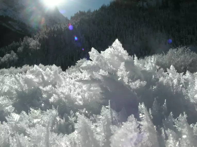 Schneeschuhtouren am Achensee