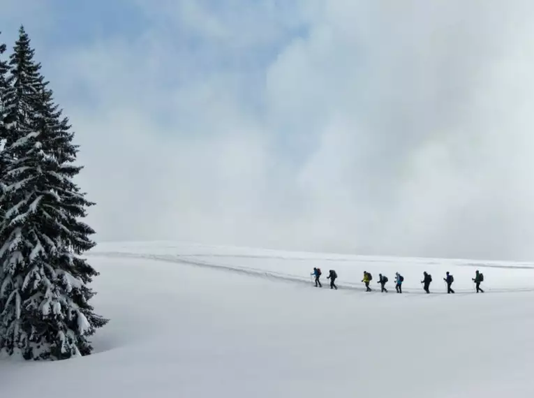 Schneeschuhwanderungen im Allgäu