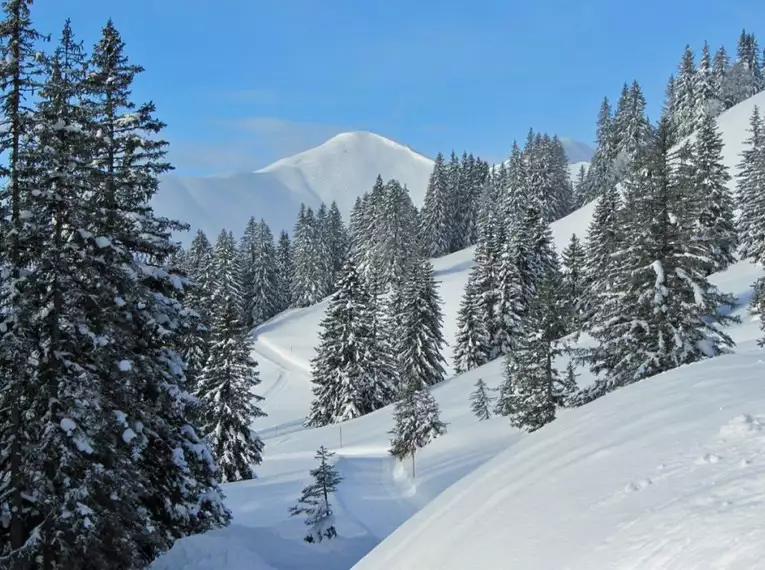 Schneeschuhwanderungen im Allgäu