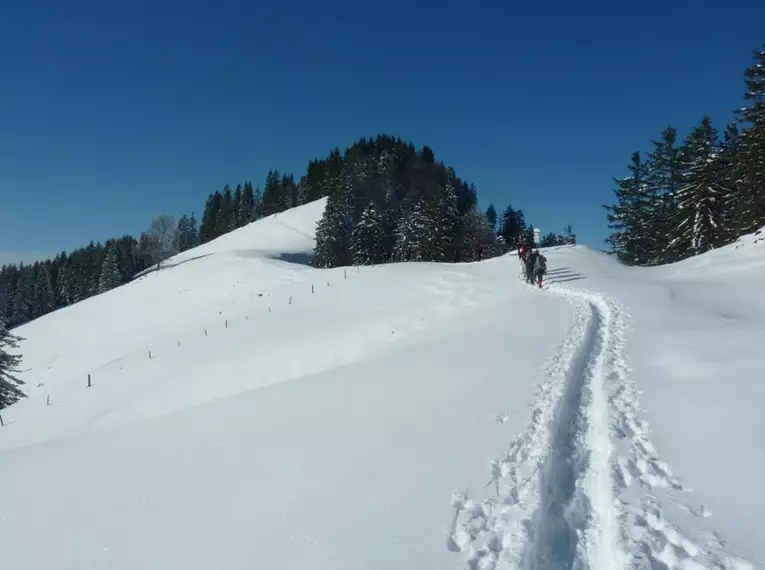 Schneeschuhwanderungen im Allgäu