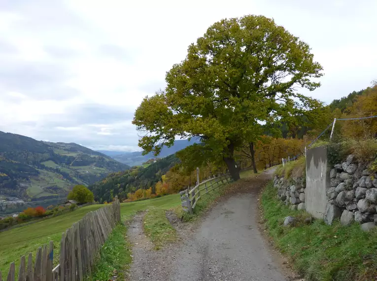 Der Kastanienweg - von Brixen bis Bozen