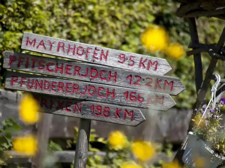 Wegweiser in den Alpen mit Entfernungen zu verschiedenen Zielen, umgeben von Blumen.