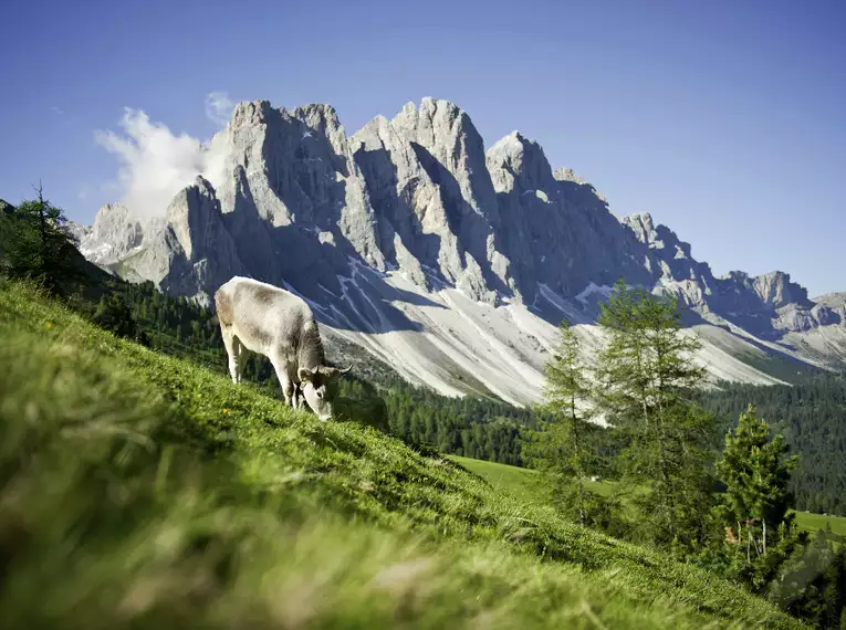 Wanderwoche Villnöss - Südtirol Dolomiten