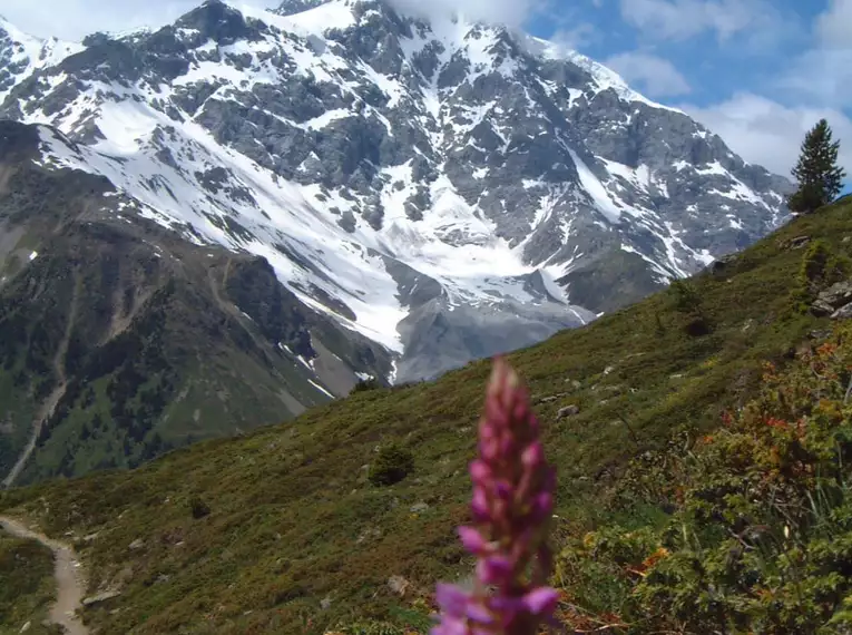 Besteigung des Ortler