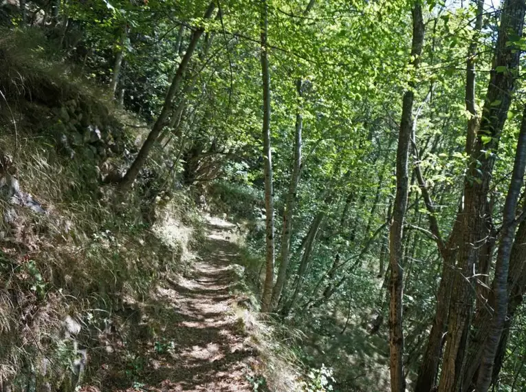 Auf dem E5 von Bozen nach Trient - mit Gepäcktransport