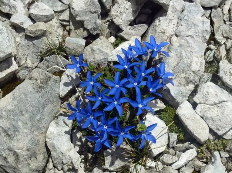 Dolomiten Höhenweg Nr. 1