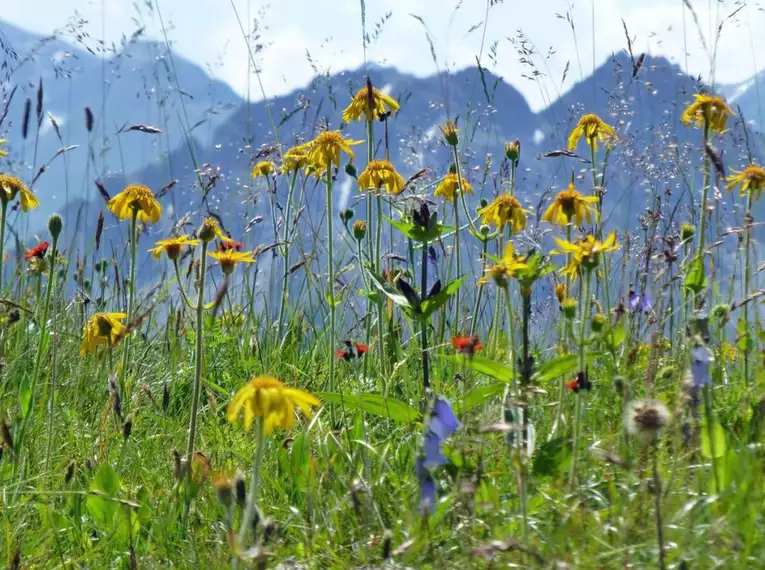 Zillertal Durchquerung entlang des Berliner Höhenwegs