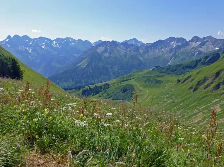 Grüne Almwiesen mit Bergkette im Hintergrund entlang des Heilbronner Höhenwegs im Allgäu.