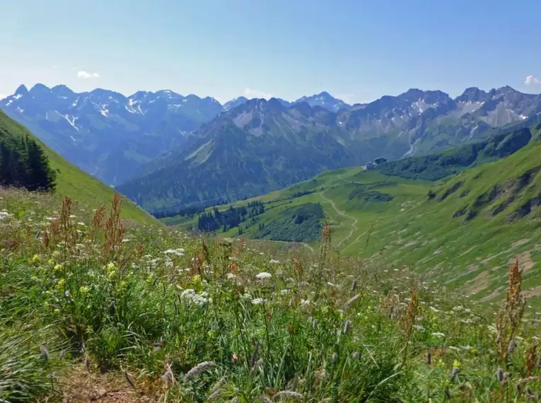 Blick auf die Allgäuer Alpen mit Wiesen am Heilbronner Höhenweg, sonniges Wetter.