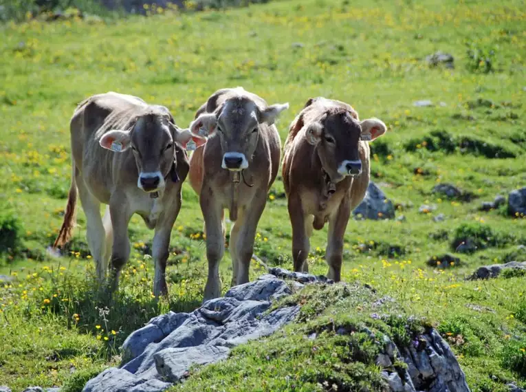 Karwendel Durchquerung