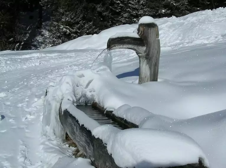 Auf Schneeschuhen unterwegs in Tirol