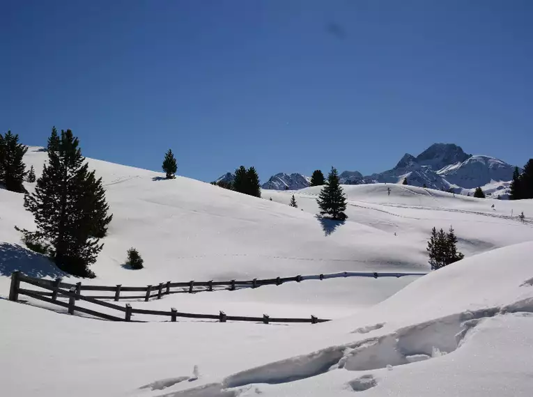 Auf Schneeschuhen unterwegs in Tirol