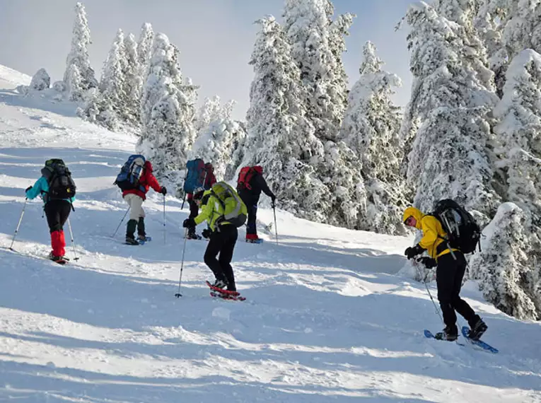 Auf Schneeschuhen unterwegs in Tirol