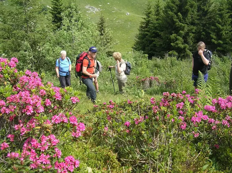 Blumenparadies Monte Bondone kulinarisch