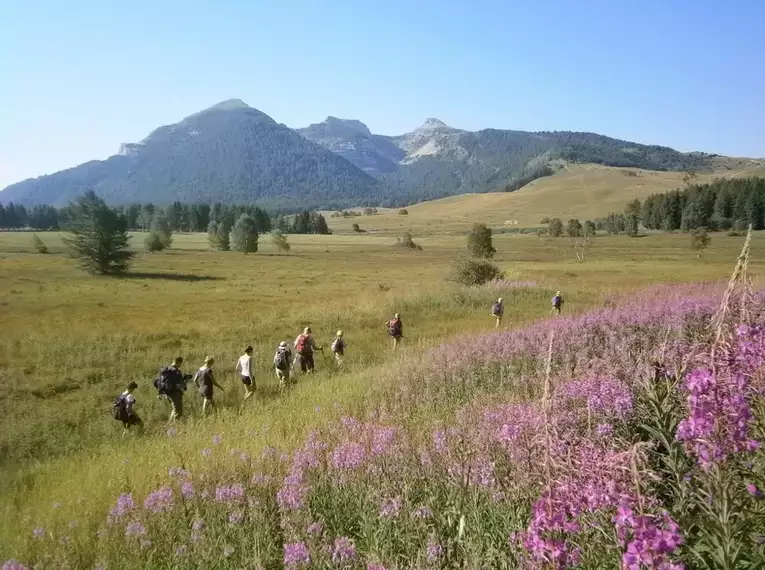 Blumenparadies Monte Bondone kulinarisch