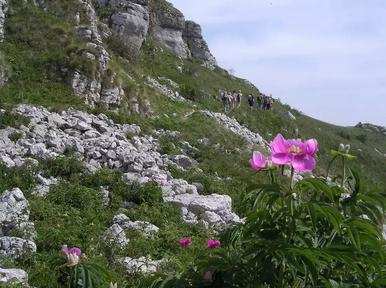 Wanderwoche am Monte Baldo