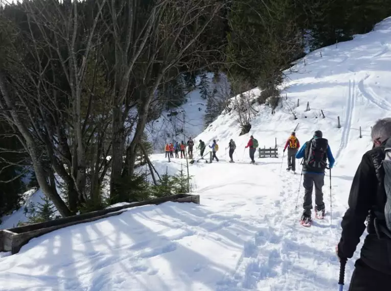 Schneeschuhtouren am Achensee