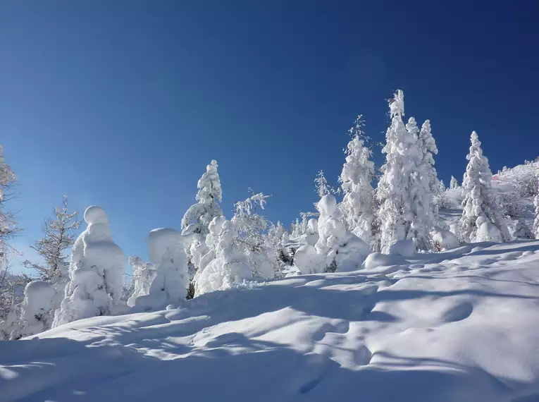 Aufbaukurs Skitouren und Skihochtouren