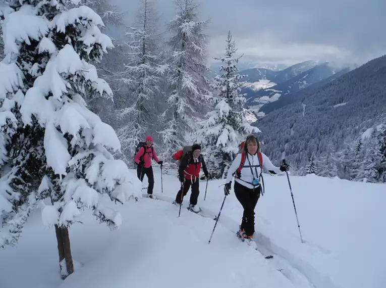 3-tägiger Tiefschnee-/ Skitechnikkurs Stubai