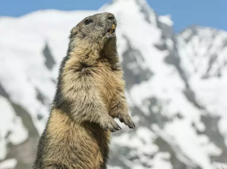 Alpenüberschreitung – Vom Königssee zu den Drei Zinnen