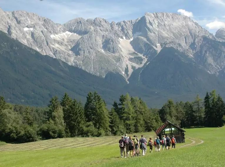 Almwandern am Mieminger Plateau