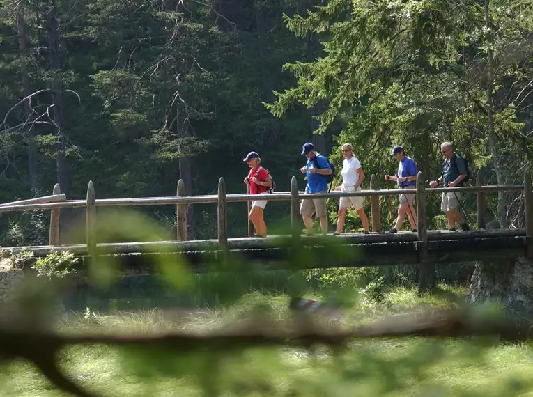 Almwandern am Mieminger Plateau