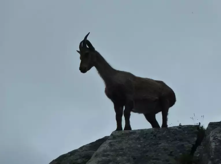 Von Oberstdorf nach Meran